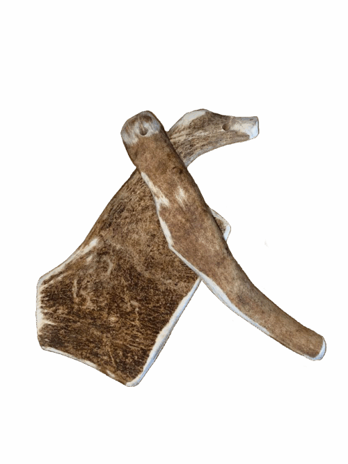 Authentic Pets Grossiste Animalier Bretagne CERF