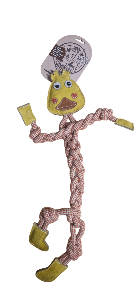 Authentic Pets Grossiste Animalier Bretagne 20260107 104548 Photoroom Photoroom