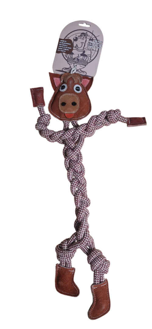 Authentic Pets Grossiste Animalier Bretagne 20260107 105713 Photoroom