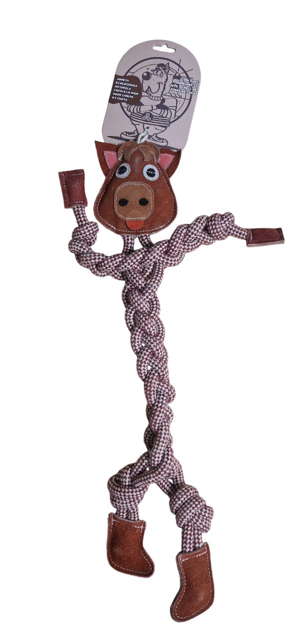 Authentic Pets Grossiste Animalier Bretagne 20260107 105713 Photoroom