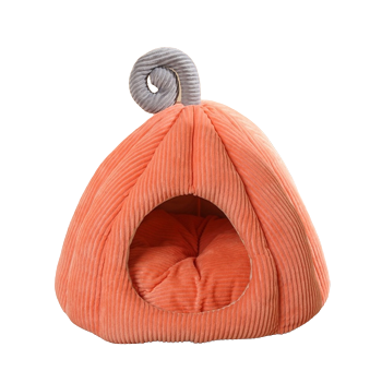 Authentic Pets Grossiste Animalier Bretagne 5004 Orange