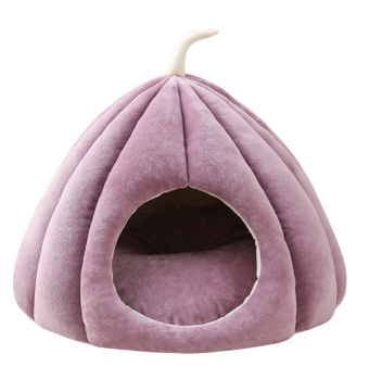 Authentic Pets Grossiste Animalier Bretagne 5007 Violette