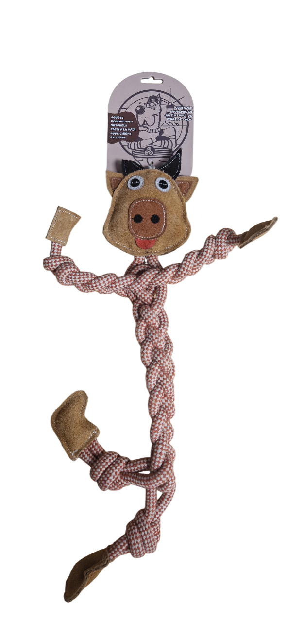 Authentic Pets Grossiste Animalier Bretagne Taureau