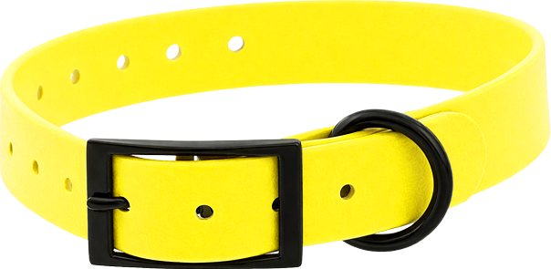 Authentic Pets Grossiste Animalier Bretagne Jaune Clair