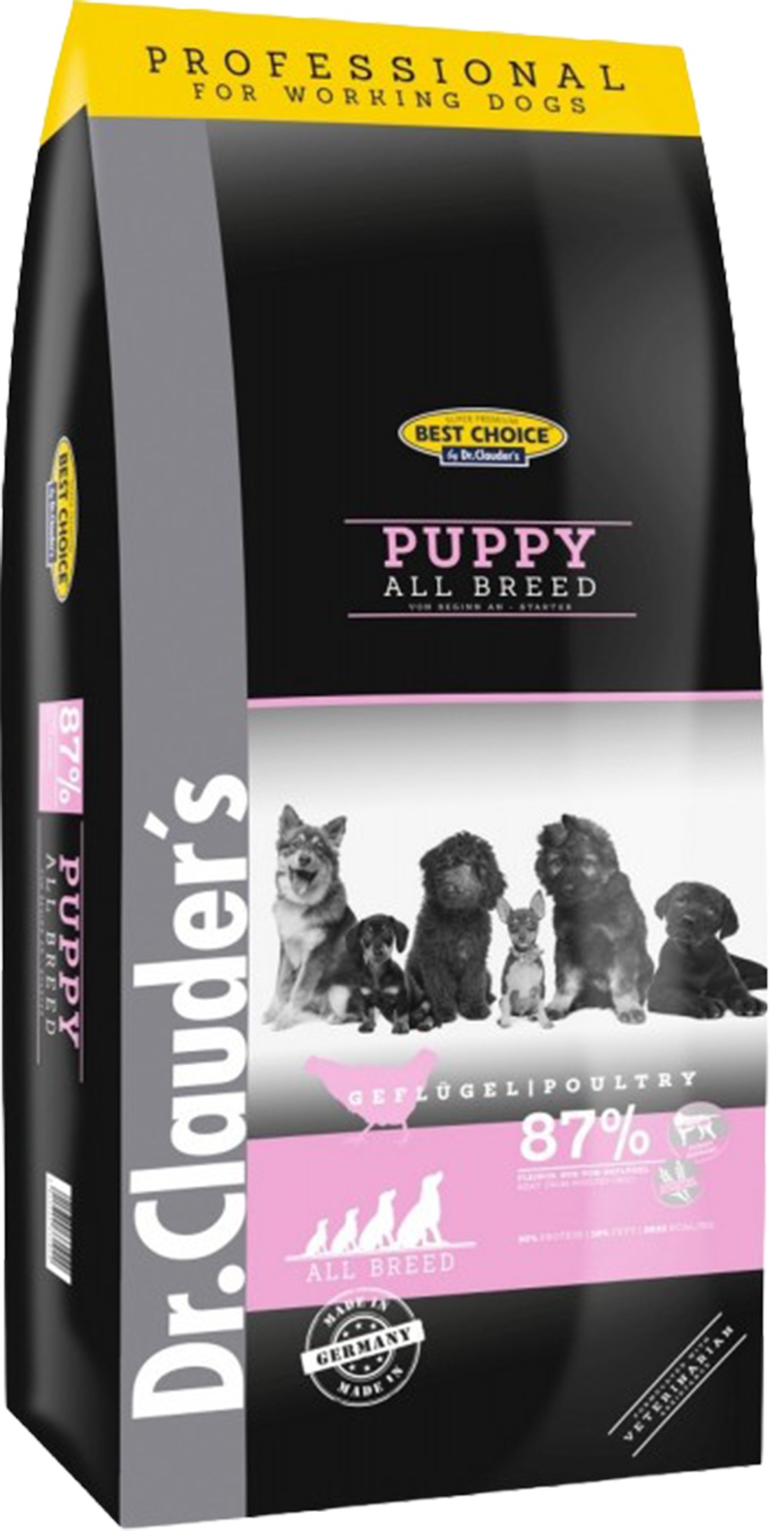 Authentic Pets Grossiste Animalier Bretagne Puppy