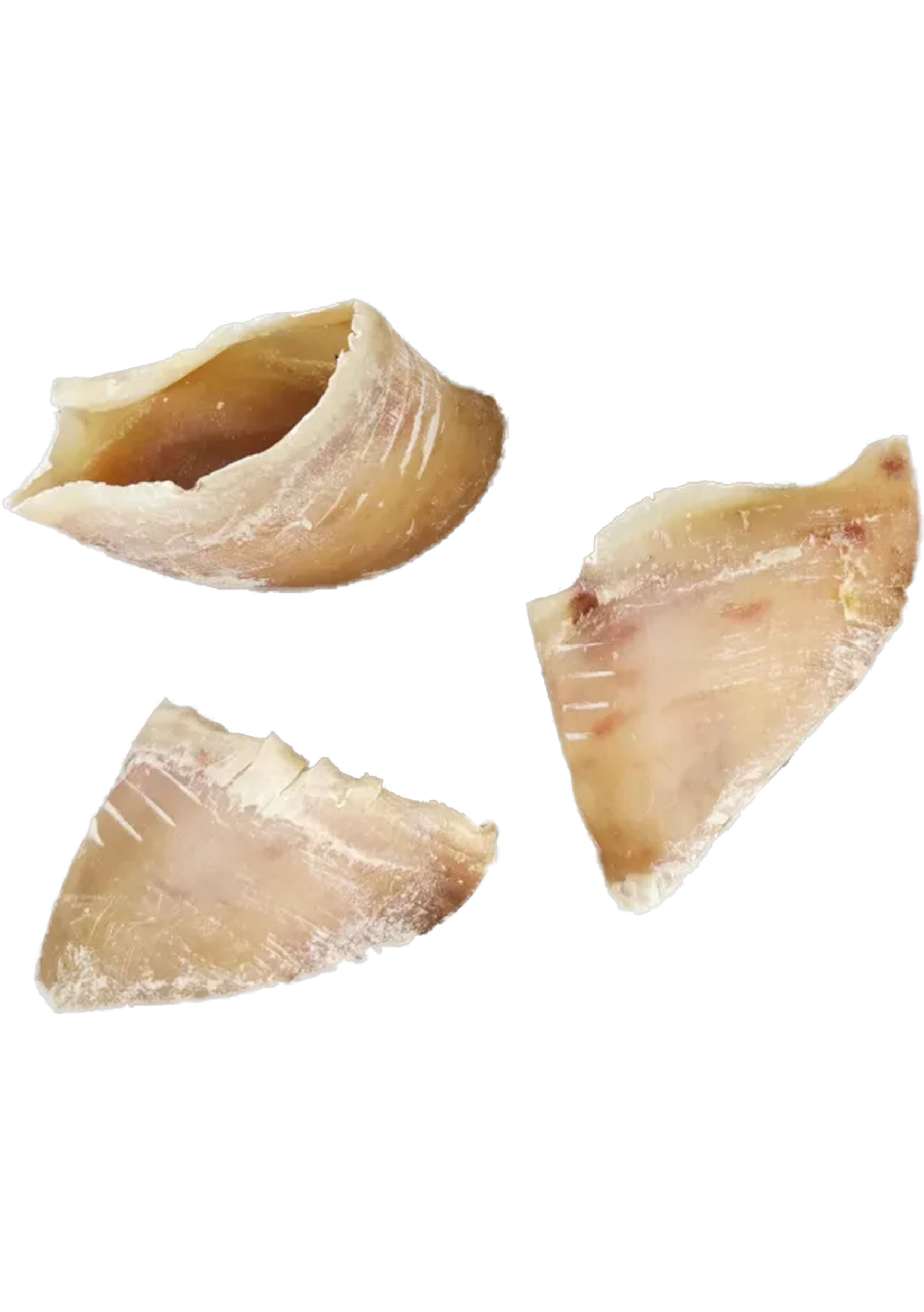 Authentic Pets Grossiste Animalier Bretagne Sabot