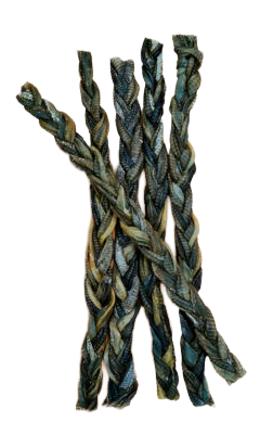Authentic Pets Grossiste Animalier Bretagne Tresse Congre 30cm